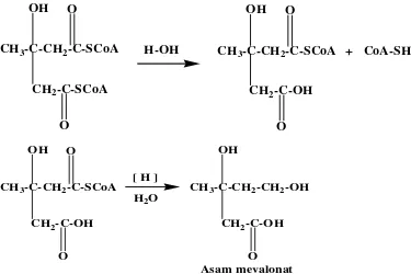 Gambar 2.3. Pembentukan asam mevalonat sebagai zat antara dalam biosintesis 