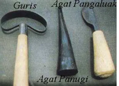 Gambar 1: Peralatan Yang Digunakan Untuk Penyadapan Kemenyan.                          (Foto FAO 2001) 