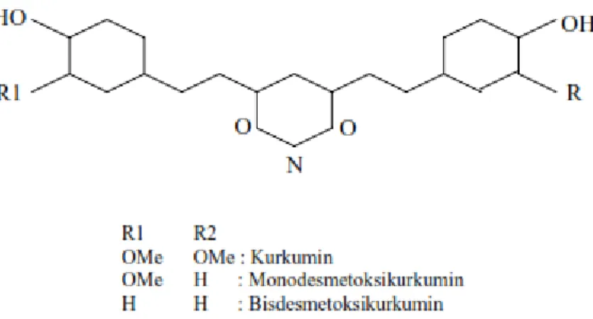 Gambar 3. Struktur pigmen kurkuminoid  (Purseglove, 1981) 2.2  Kurkumin 