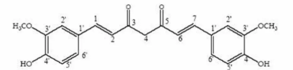 Gambar 4. Struktur kimia kurkumin [1,7-bis-(4'-hidroksi-3'-metoksifenil)hepta- [1,7-bis-(4'-hidroksi-3'-metoksifenil)hepta-1,6-diena-3,5-dion] 