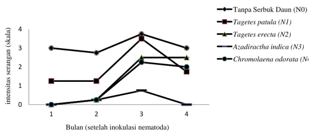 Gambar  2:  Intensitas  serangan  nematoda  bengkak  akar  (skala)    pada  masing- masing-masing periode pengamatan dengan pemberian beberapa serbuk daun   Gambar  1  memperlihatkan  bahwa  pada  bulan  pertama  setelah  inokulasi  intensitas serangan nem