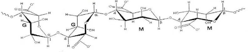 Gambar 2.2  Struktur G: α- L asam guluronat dan M: β- D asam mannuronat 