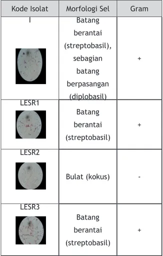 Tabel 3.  Identifikasi Morfologi sel bakteri Kode Isolat Morfologi Sel Gram