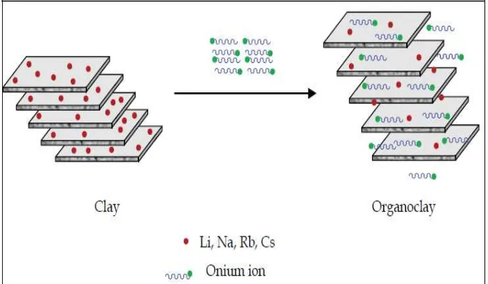 Gambar 2.3 Skema modifikasi secara organik dari clay menggunakan kation   alkilamonium (Olad, 2010)  