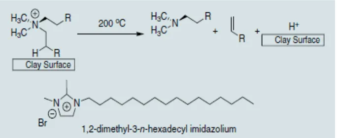 Gambar 2.5 Reaksi Degradasi Hofmann dari alkilammonium pada permukaan clay dan   kestabilan termal dari kation imidazolium (Morgan, 2007)  