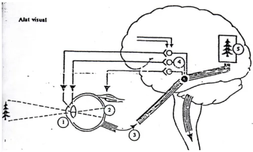 Gambar 3.1. Diagram dari Alat Visual 
