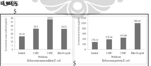 Gambar I.4. Tingkat kebocoran asam nukleat dan protein (dalam µg/ml) setelah  perlakuan pada mikroba uji E