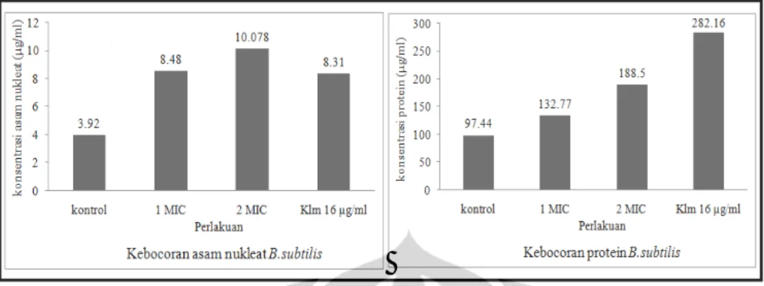 Gambar I.5. Tingkat kebocoran asam nukleat dan protein (dalam µg/ml) setelah  perlakuan pada mikroba uji B.subtilis 