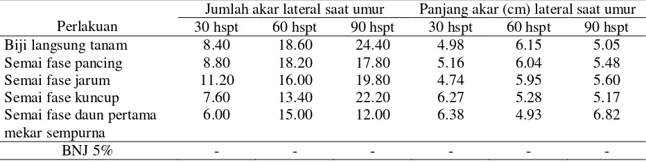 Tabel 5. Bobot berangkasan tajuk bibit tanaman kelor (g) dari berbagai fase pindah tanam semai 