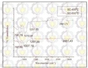 Gambar 11. Perbesaran citra SEM hirarki struktur lapisan  komposit PDMS/SiO2 dengan temperatur 400°C 