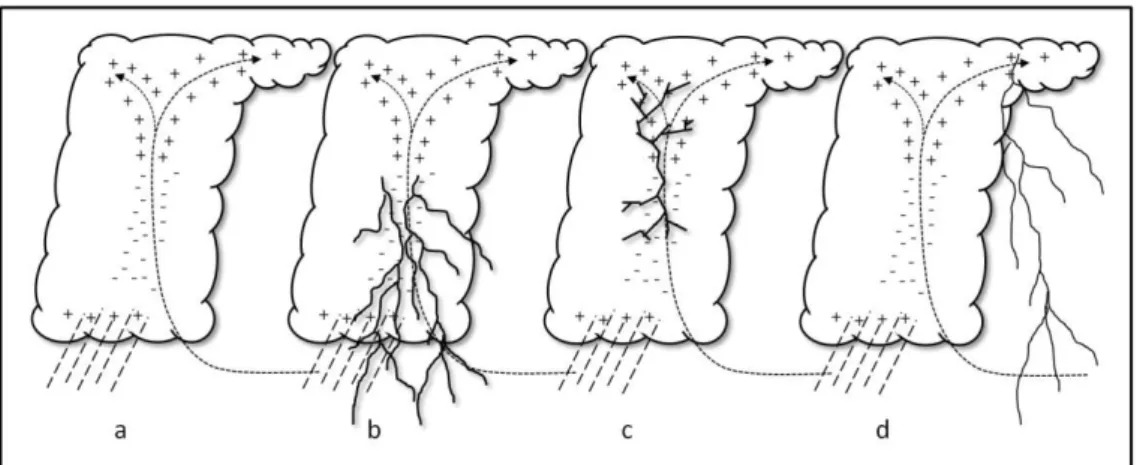 Gambar 8.  Elektrifikasi awan secara umum  b); Cloud-to-Ground negatif  c); Inter-Cloud  d) 
