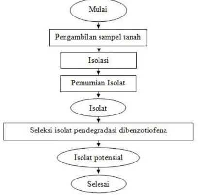 Diagram  alir  penelitian  isolasi  bakteri  potensial  pendegradasi  dibenzotiofena  dari  tanah  tercemar minyak bumi di Buluh Telang Langkat Sumatera Utara dapat dilihat pada Gambar 2