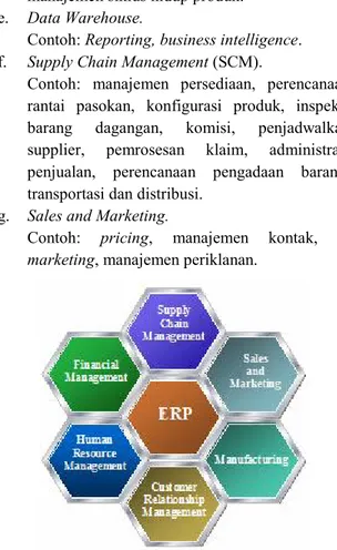 Gambar 1. Modul Umum Sistem ERP