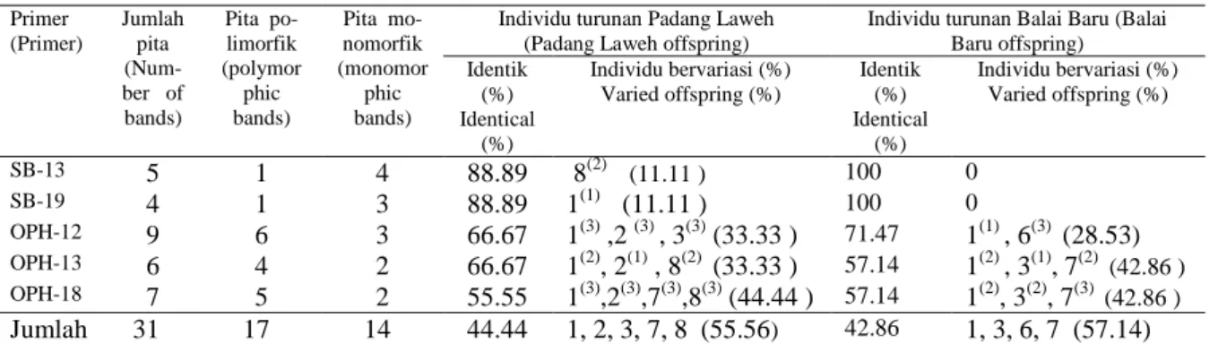Tabel  1.  Jumlah  pita  DNA,  jumlah  idividu  turunan  yang  identik  dan  bervariasi  dari  dua  tanaman  induk  manggis  berdasarkan  analisis  RAPD  dengan  menggunakan  lima  primer.(Number  of  DNA  bands,  identical  and  varied  offsprings  of  tw