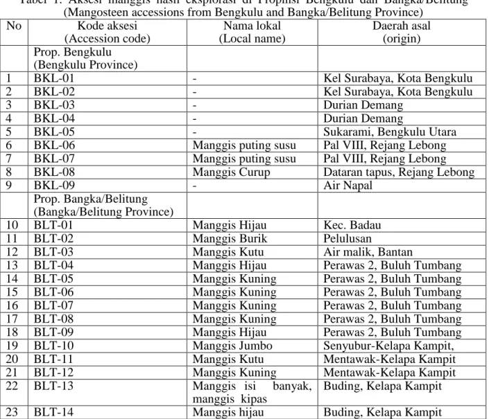 Tabel  1.  Aksesi  manggis  hasil  eksplorasi  di  Propinsi  Bengkulu  dan  Bangka/Belitung   (Mangosteen accessions from Bengkulu and Bangka/Belitung Province) 