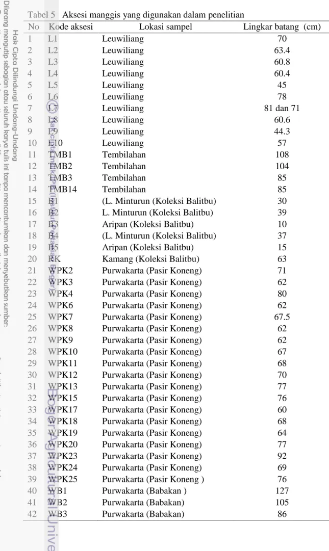 Tabel 5   Aksesi manggis yang digunakan dalam penelitian 