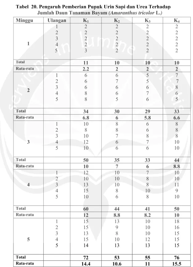 Tabel  20. Pengaruh Pemberian Pupuk Urin Sapi dan Urea Terhadap  Jumlah Daun Tanaman Bayam (Amaranthus tricolor L.) 