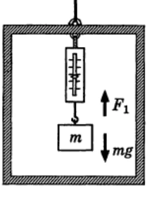 Fig. 9. 6. Weight of 