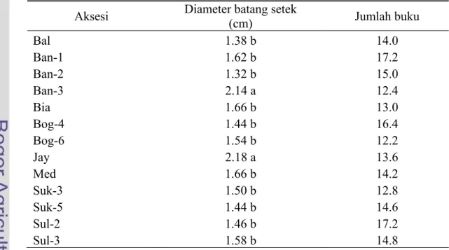Tabel 6.    Diameter batang setek dan  jumlah buku setek 13 aksesi jarak     pagar di pembibitan (0 MSP) 