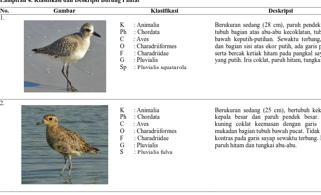 Gambar Klasifikasi   