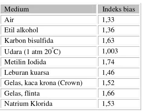 Tabel 2. 1 Beberapa indeks bias 