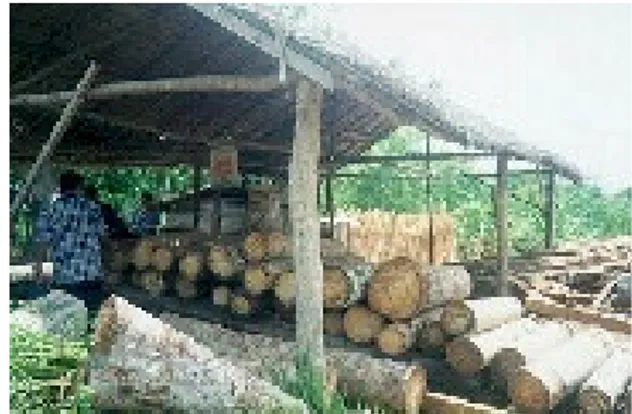 Gambar 37. Kebijakan  lingkungan yang kondusif  dan pengembangan  infrastruktur akan  meningkatkan minat untuk  memakai kayu karet, yang  dianggap sebagai ‘limbah’ 