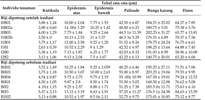 Tabel 4 menunjukkan bahwa tebal epidermis  atas dan epidermis bawah untuk sebagian besar  tanaman hampir sama
