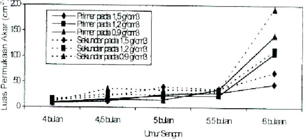 Gambar 2.   Perkembangan jumlah akar primer, sekunder dan tersier pada tanaman sengon 