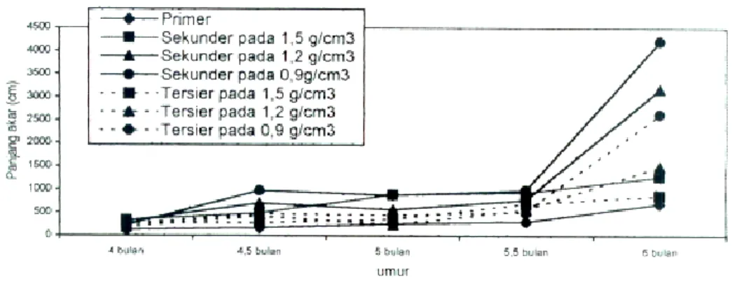 Gambar 4.   Perkembangan  panjang  akar  primer,  sekunder  dan  tersier  pada  tanaman  sengon 