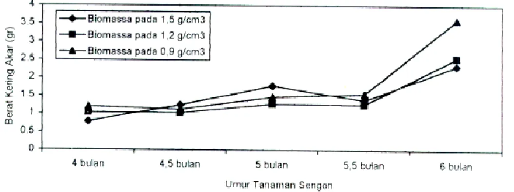 Gambar 6.   Perkembangan  luas  permukaan  akar  primer,  sekunder  dan  tersier  pada  tanaman sengon berdasarkan biomasa 