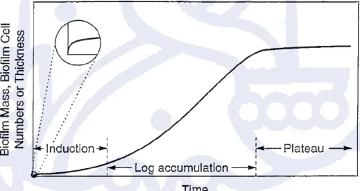 Gambar II.4. Fase Pertumbuhan Biofouling (J.K. Rice et al : 1993) 