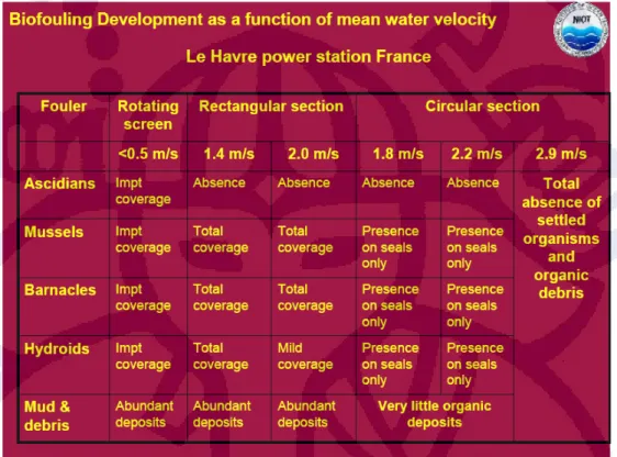 Gambar II.5. Pertumbuhan Biofouling Terhadap Fungsi Kecepatan Air       (Dr R Venkatesan : 2007) 
