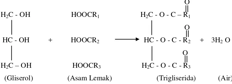 Gambar 2.  Reaksi Pembentukan Trigliserida dari Gliserol dan Asam Lemak 