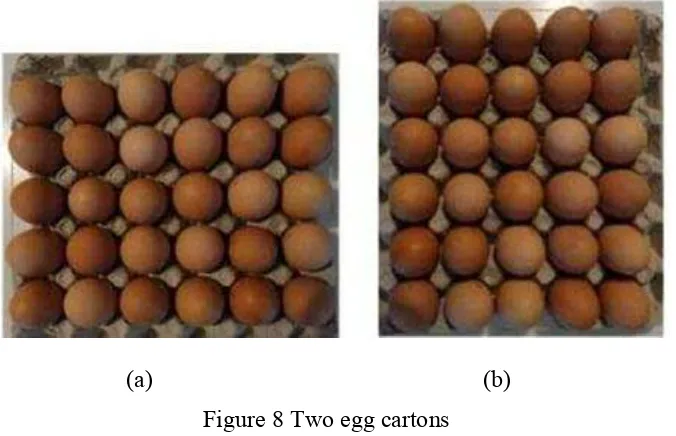 Figure 8 Two egg cartons 