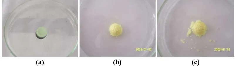 Gambar proses uji waktu hancur termodifikasi ODT3 dengan superdisintegrant natrium kroskarmelosa 5%: (a) mula-mula, (b) setelah 15 detik, dan (c) setelah 30 detik