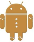 Gambar 2.5. Android versi 2.2 Froyo 