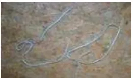 Figure 4.2 An example of the ropes 