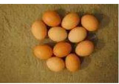 Figure 5.1: Un-structuring eggs 
