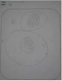 Figure 5.6b: Bimo‟s drawing 