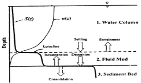 Gambar 2.5 Profil Vertikal dari Sedimen Kohesif dan Kecepatan Jatuh 
