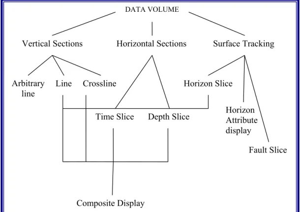 Gambar 2.3. Produk tampilan yang dapat diperoleh berdasarkan   data volume seismik 3-D (After Brown, 2004)