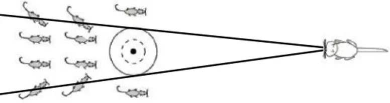 Figure 4.4. Diverging Lines but Do Not Meet Each Other