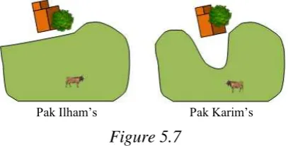 Figure 5.7 A pair of grassland for the first problem 