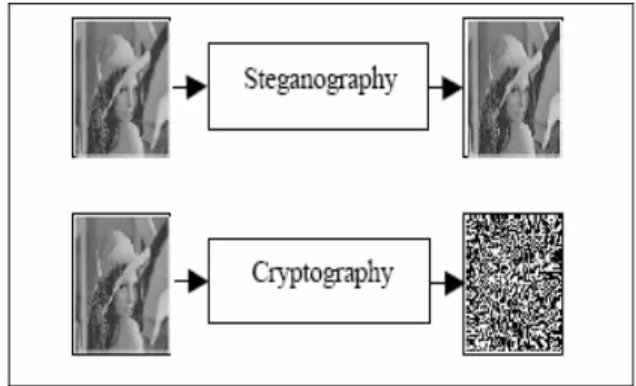 Gambar 2.1 menunjukkan ilustrasi perbedaan antara steganografi dan kriptografi. 