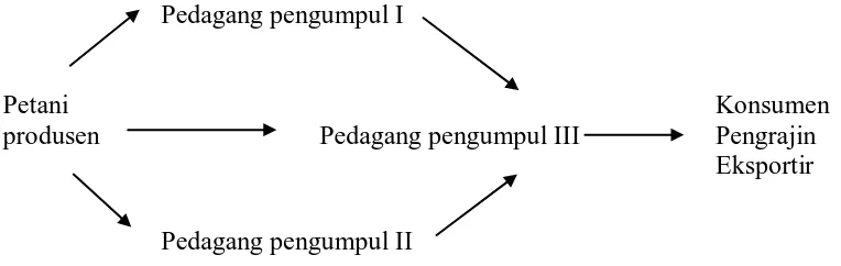 Gambar 1.  Struktur pemasaran dan skema arus tataniaga rotan dari daerah sentra produksi rotan Sumatera Utara   