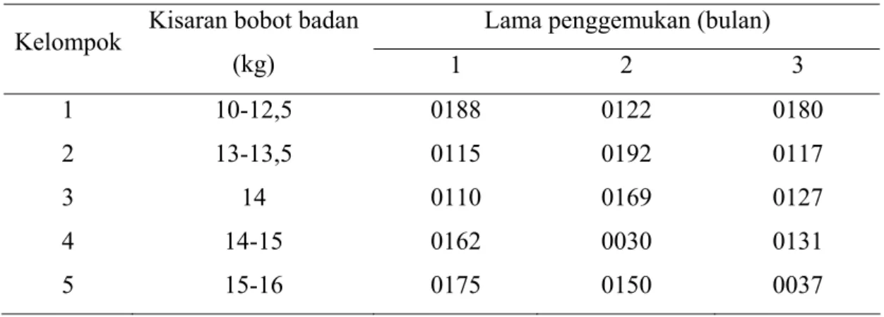 Tabel 2. Pengelompokan dan Nomor Leher Domba pada Tiap Unit Percobaan  Lama penggemukan (bulan) 