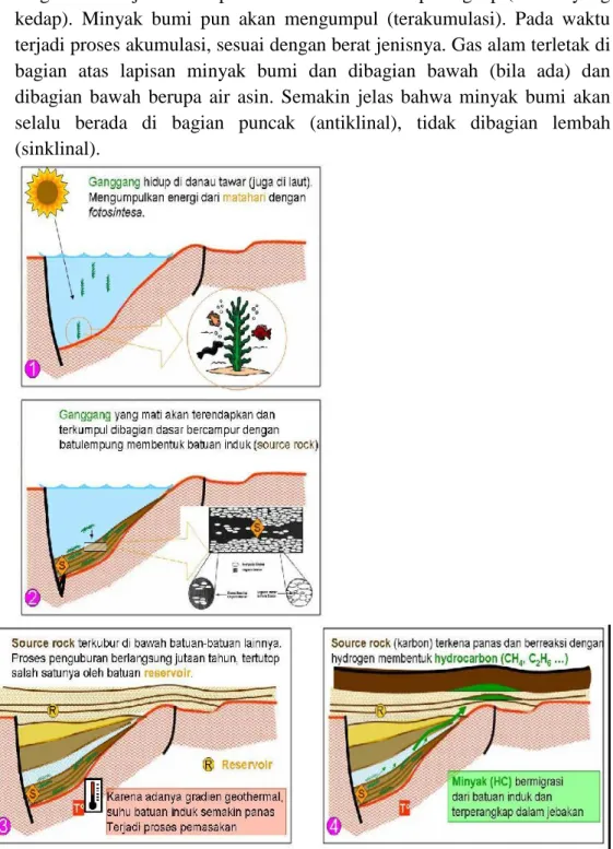 Gambar  6:  Proses pembentukan minyak dan gas bumi berdasarkan . Berdasarkan  umur  dan  kedalamannya,  minyak  bumi  dapat  di golongkan menjadi beberapa jenis yaitu :