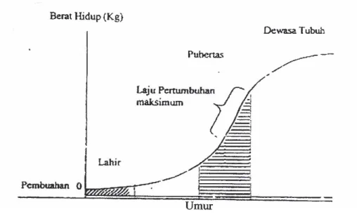 Gambar 1. Pola Kurva Pertumbuhan Ternak        Sumber : Forres et al., 1975 