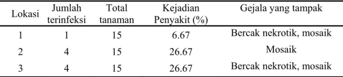Tabel 4  Data kejadian penyakit virus ORSV di tiga lokasi pengamatan di Gunung  Sindur 
