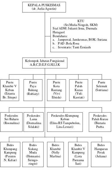 Gambar 4.1 Struktur Organisasi Puskesmas Hamparan Perak 